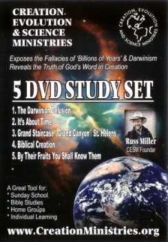 study set (Custom)