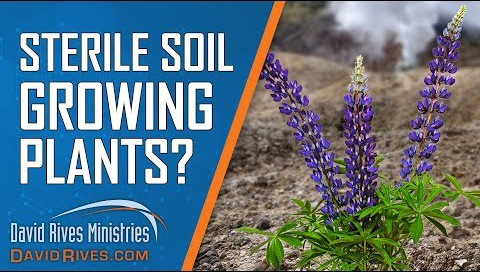 Sterile Soil Growing Plants