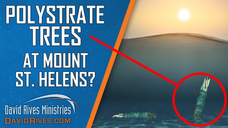 Mount St. Helens: Young Earth Proof